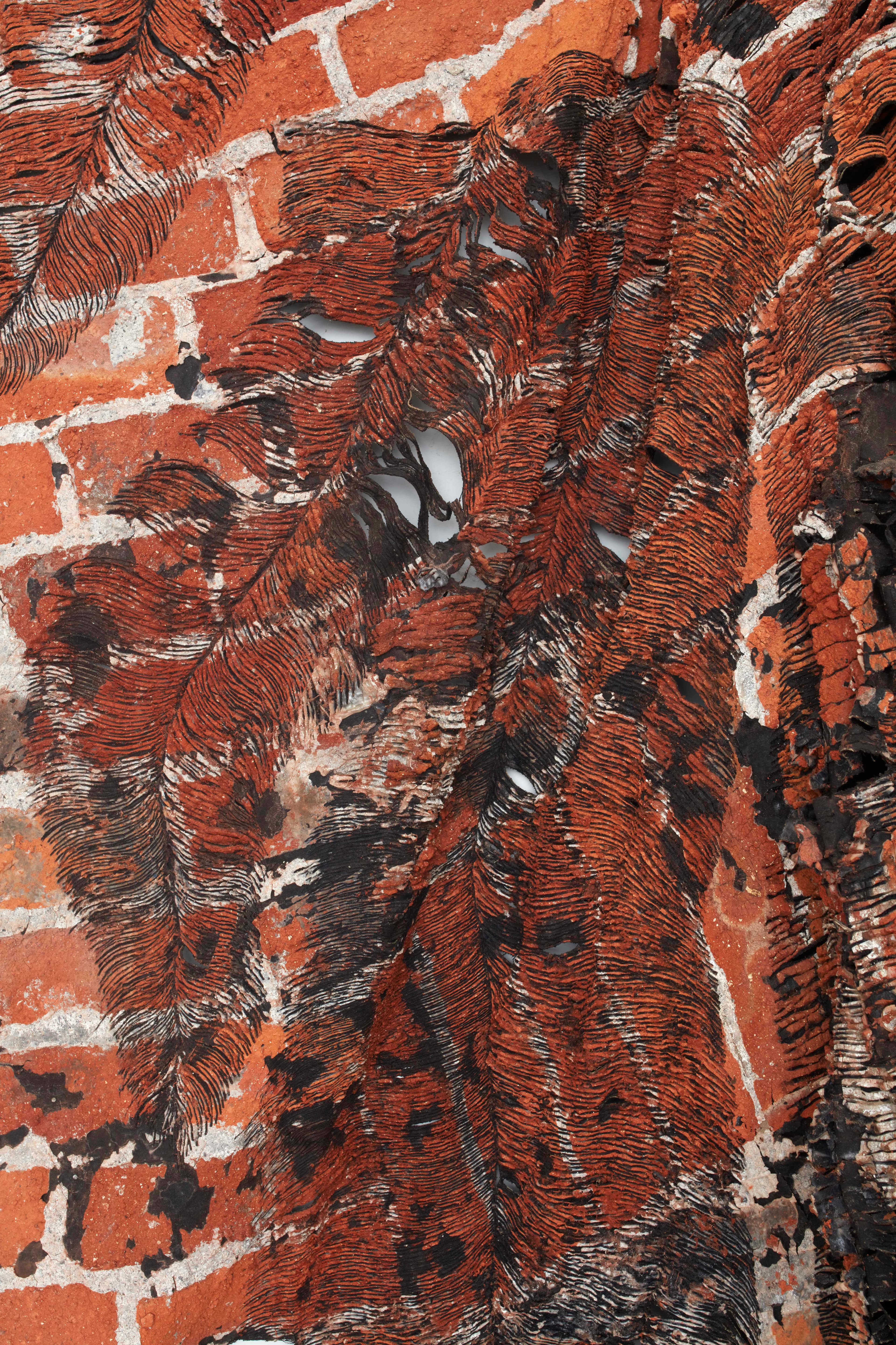 Petrified feather thumbnail 1