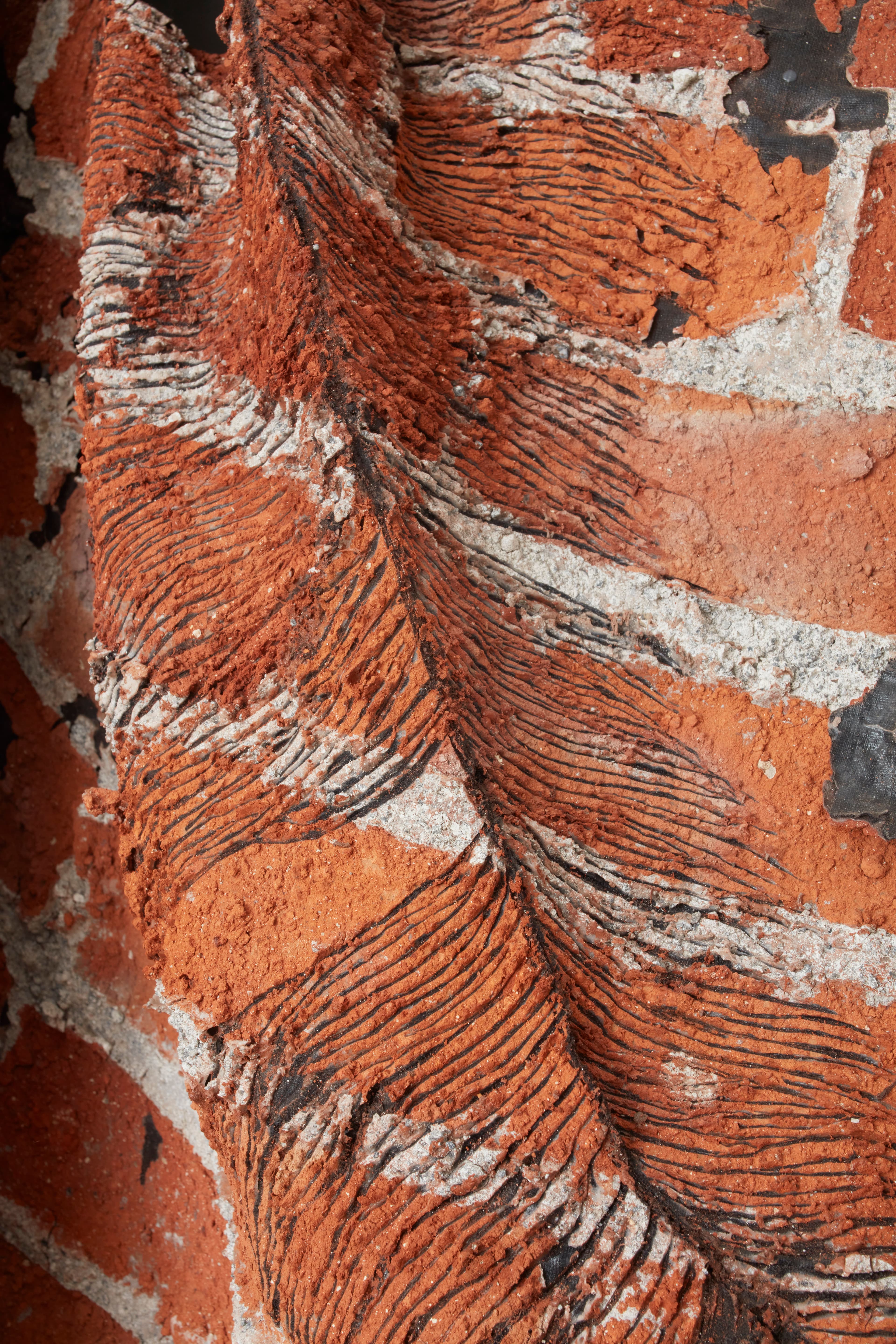 Petrified feather thumbnail 2