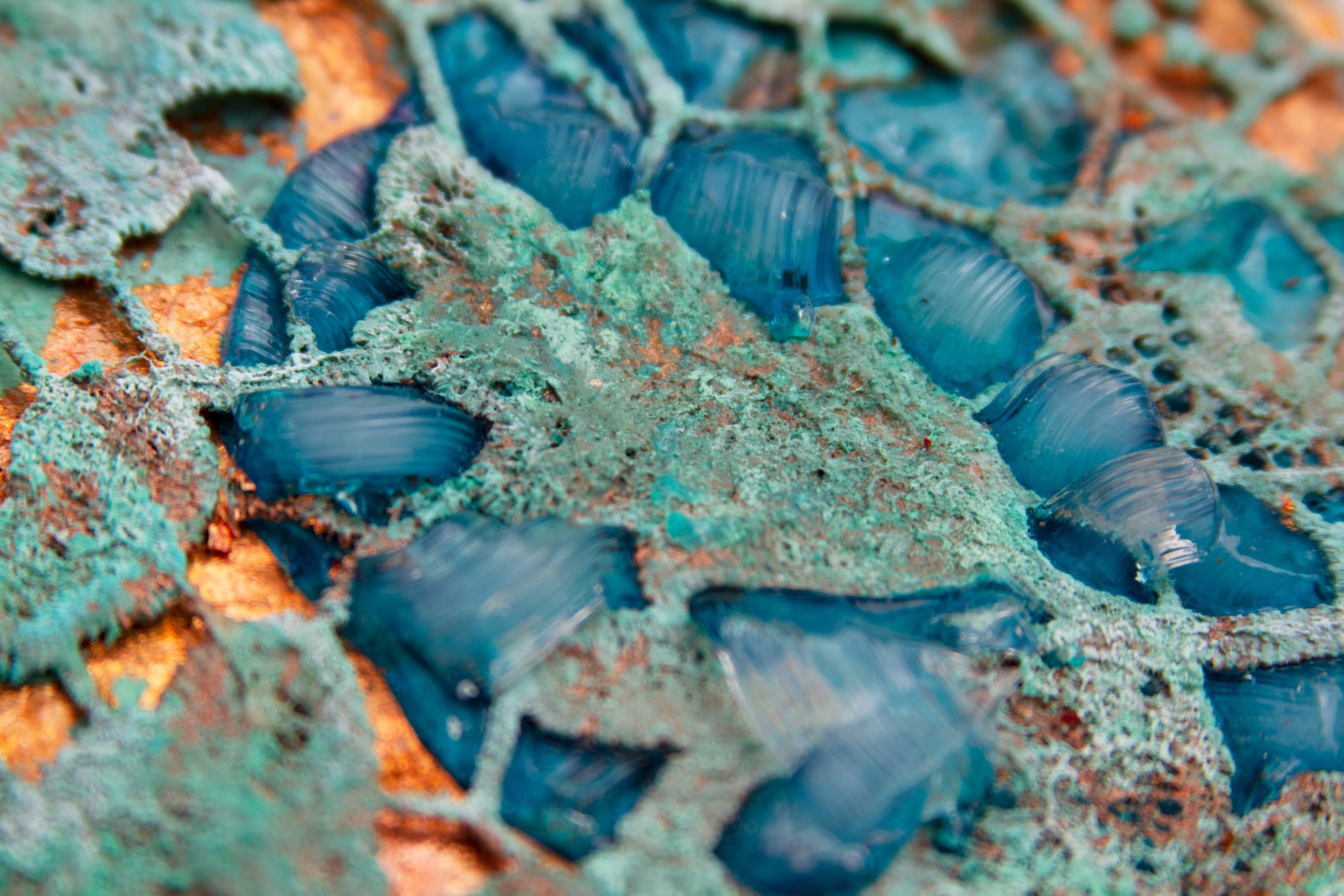 Flower Island I thumbnail 1