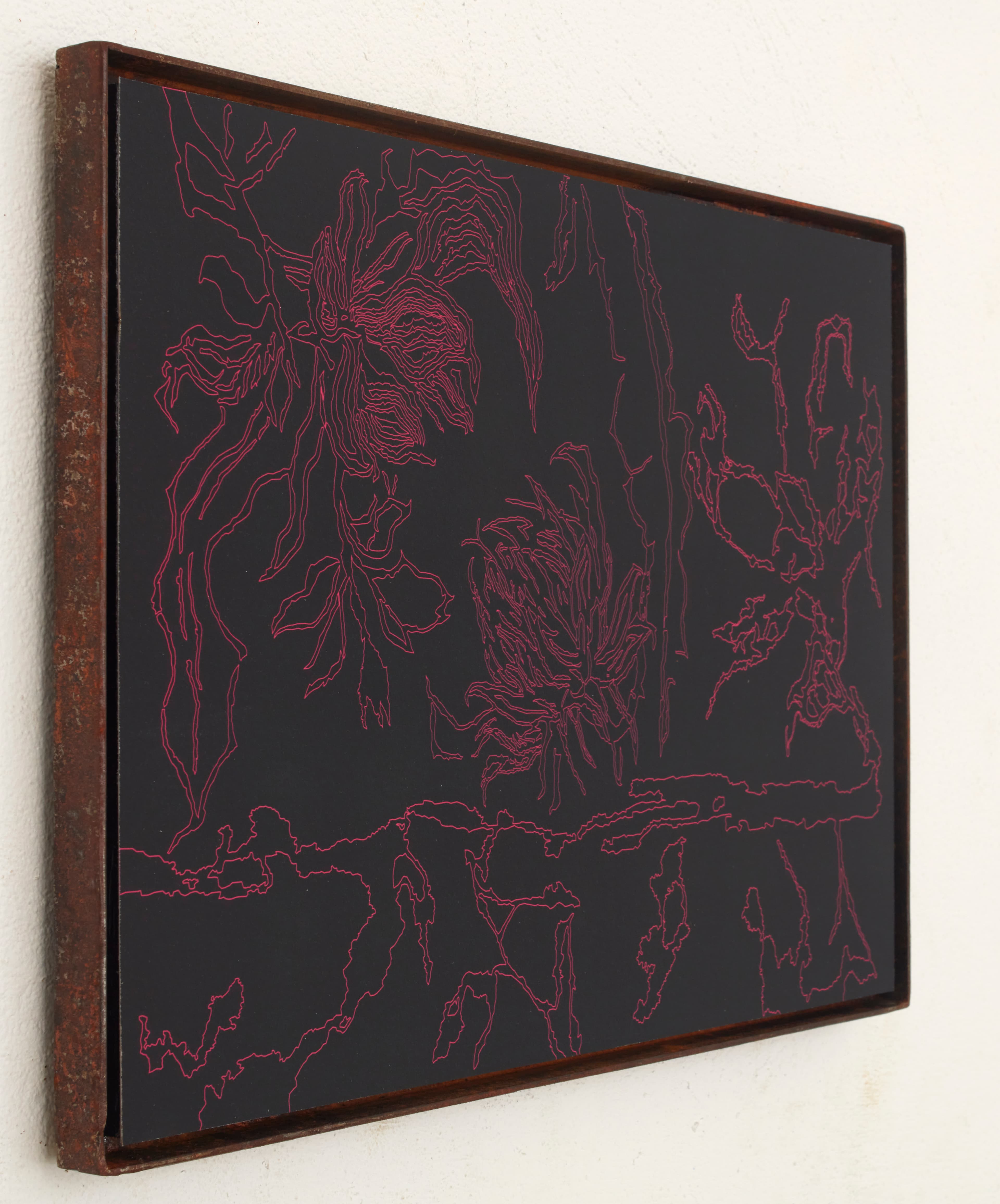 Una jungla por descubrir V