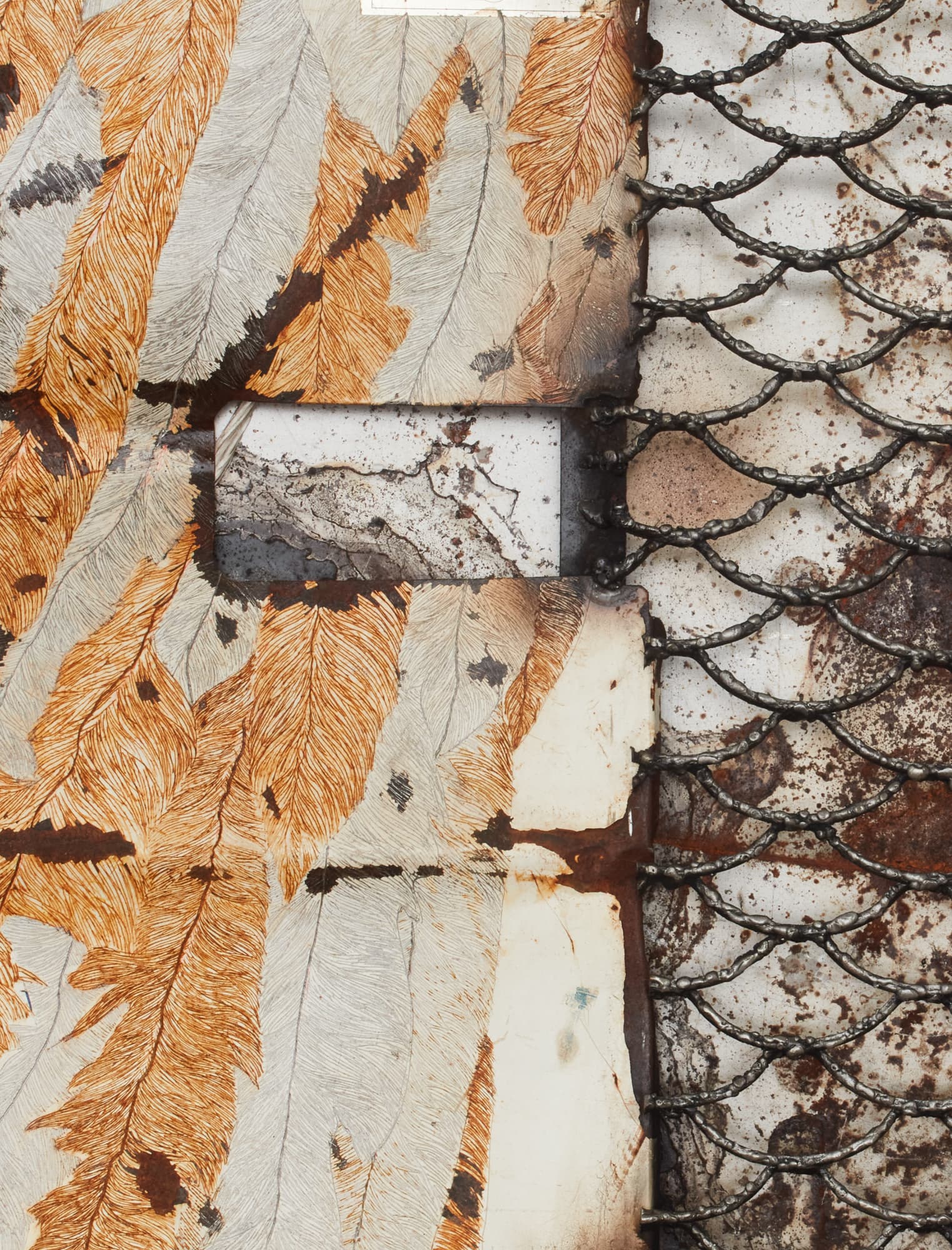 Ala Petrificada thumbnail 2