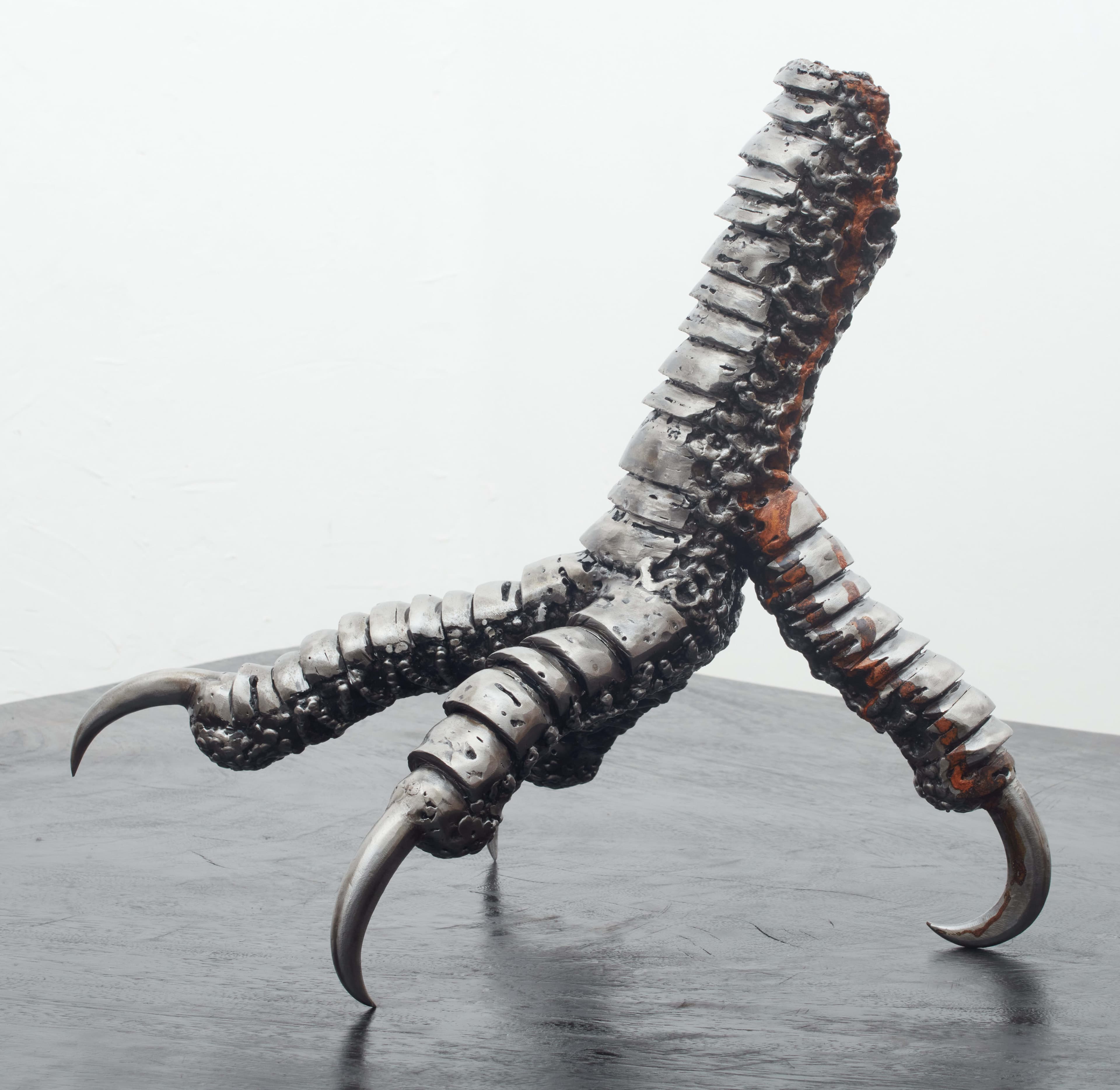 Vestige of an Imperial Talon